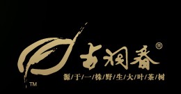 古洞春茶业