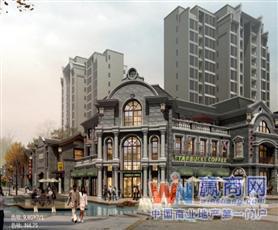 四川成都新津老码头_主题地产_项目招商_赢商