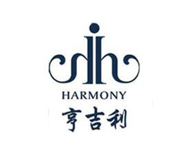 亨吉利世界名表中心副总经理盛力:购物中心更利于品牌形象的推广